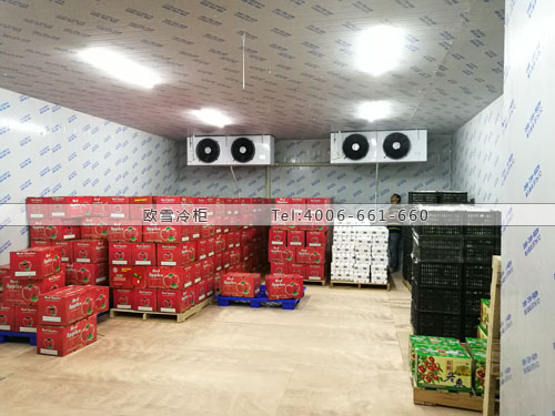 廣東省深圳市寶安區維芳果業有限公司